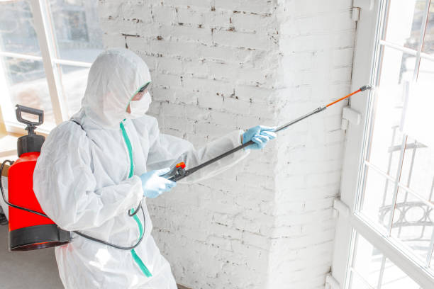 Why You Should Choose Our Mold Remediation Services in Gibson, AR