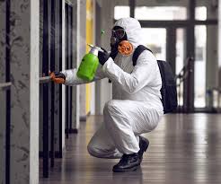 Mold Removal Services